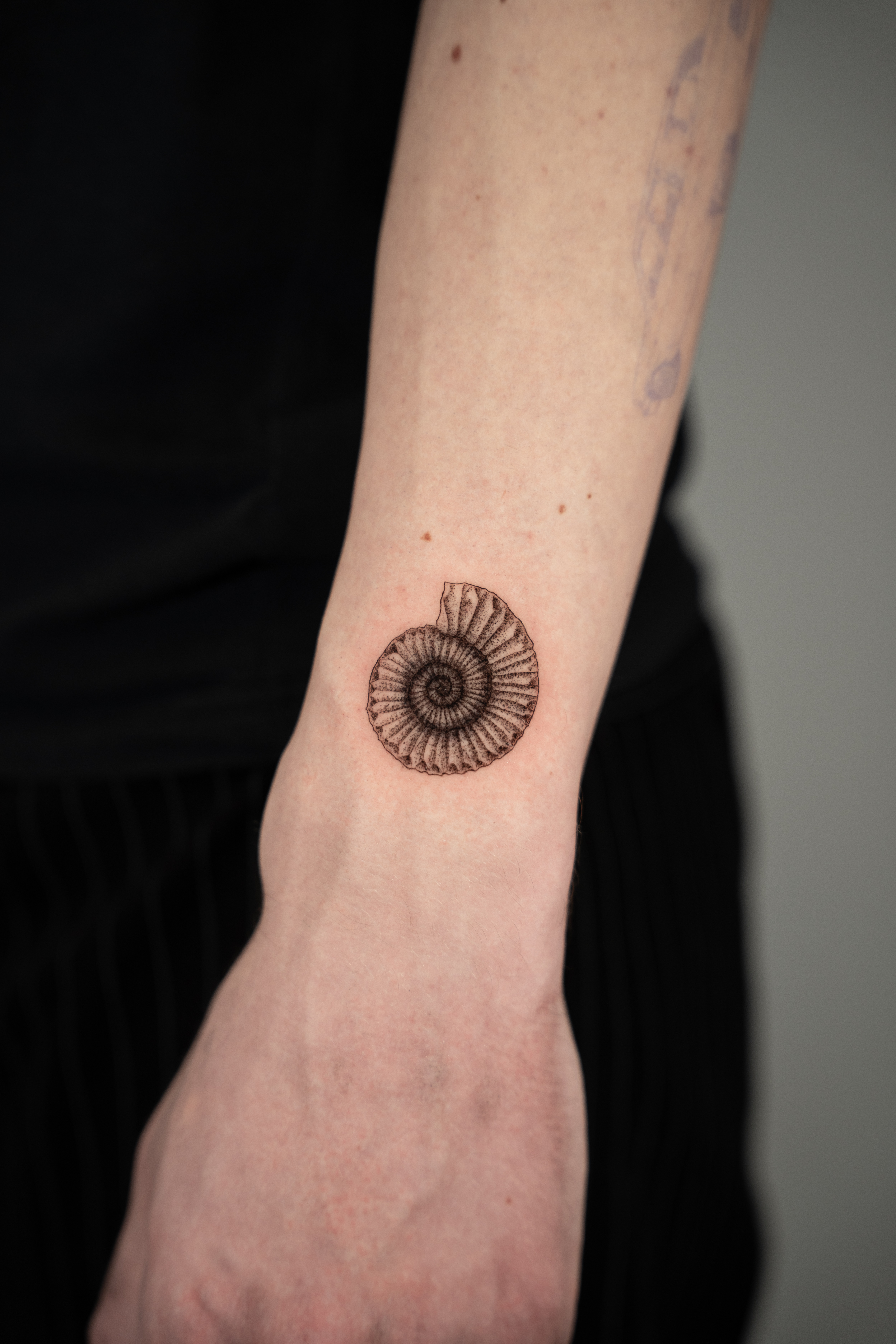 Tattoo T' Zeza — Tattoo T' Zeza — 21
